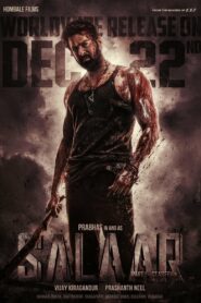 Salaar: Part 1 – Ceasefire (2023) Hindi HD Netflix