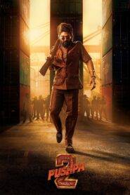 Pushpa 2 The Rule [Reloaded Version] (2024) Hindi Dubbed Netflix
