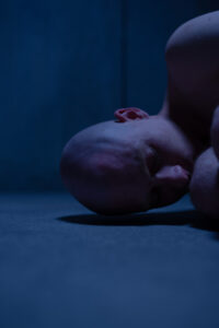 Incarnation (2023) Hindi HD