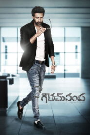 Goutham Nanda (2017) Hindi Dubbed
