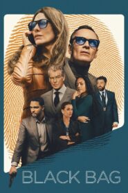 Black Bag (2025) Hindi HD