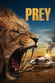 Prey (2024) Hindi Dubbed
