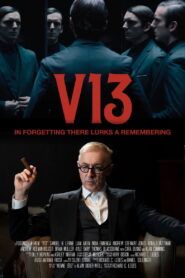 V13 (2025) Hindi Dubbed