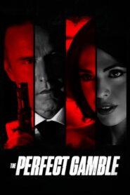 The Perfect Gamble (2025) Hindi Dubbed