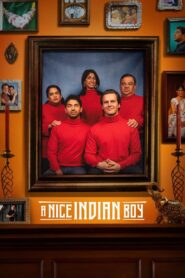 A Nice Indian Boy (2025) Hindi Dubbed