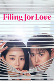 Filing for Love (2026) Hindi Season 1 Complete AMZN